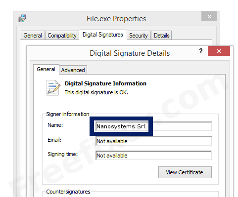 Screenshot of the Nanosystems Srl certificate